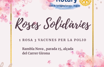 Diada de Sant Jordi 2025.